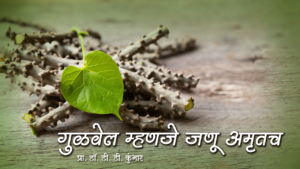 गुळवेल म्हणजे जणू अमृतच